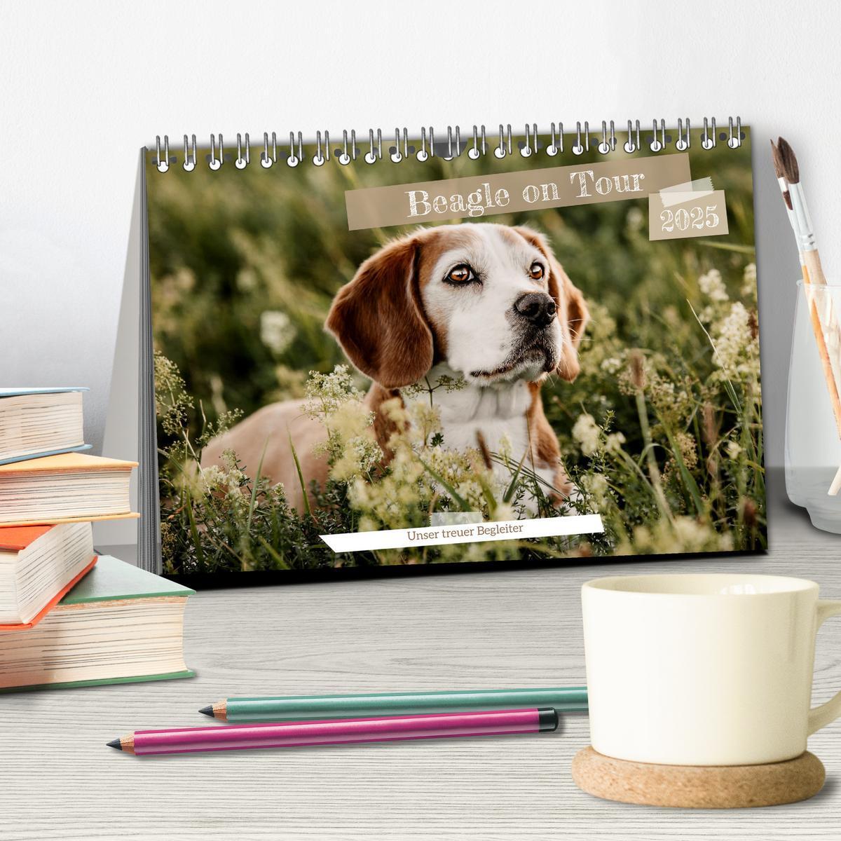 Bild: 9783435016112 | Beagle - Unser treuer Begleiter (Tischkalender 2025 DIN A5 quer),...