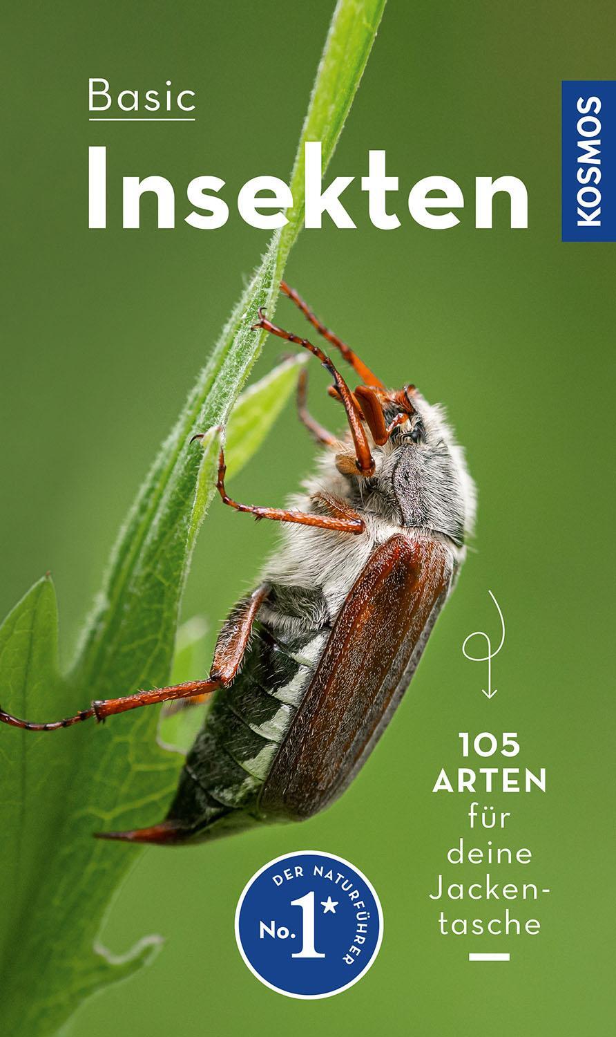 Cover: 9783440173916 | BASIC Insekten | Roland Gerstmeier | Taschenbuch | 128 S. | Deutsch