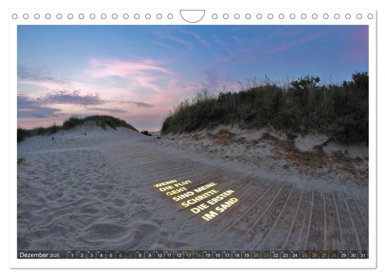 Bild: 9783435213511 | OP LANGEOOG (Wandkalender 2025 DIN A4 quer), CALVENDO Monatskalender