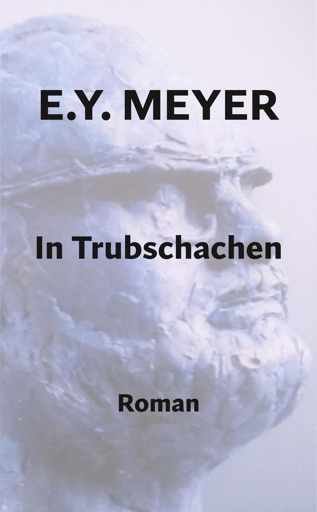 Cover: 9783757940843 | In Trubschachen | E. Y. Meyer | Buch | HC runder Rücken kaschiert