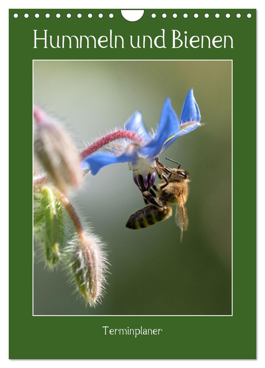 Cover: 9783435879731 | Hummeln und Bienen Terminplaner (Wandkalender 2025 DIN A4 hoch),...