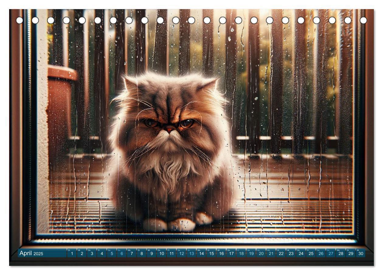 Bild: 9783383793288 | Katzenlaunen - Durch das Jahr mit Fluff und Grummeln (Tischkalender...