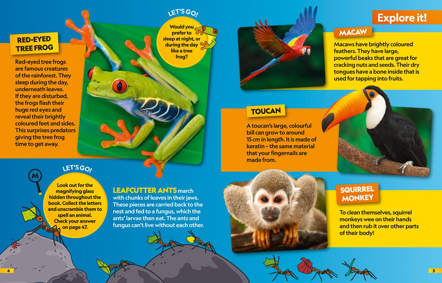 Bild: 9780008421915 | Animals Find it! Explore it! | National Geographic Kids | Taschenbuch