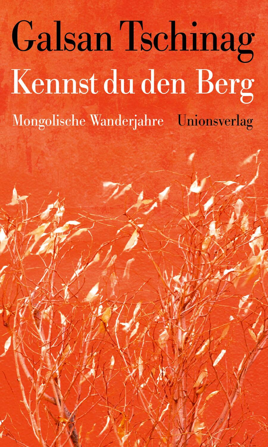 Cover: 9783293005839 | Kennst du den Berg | Mongolische Wanderjahre | Galsan Tschinag | Buch
