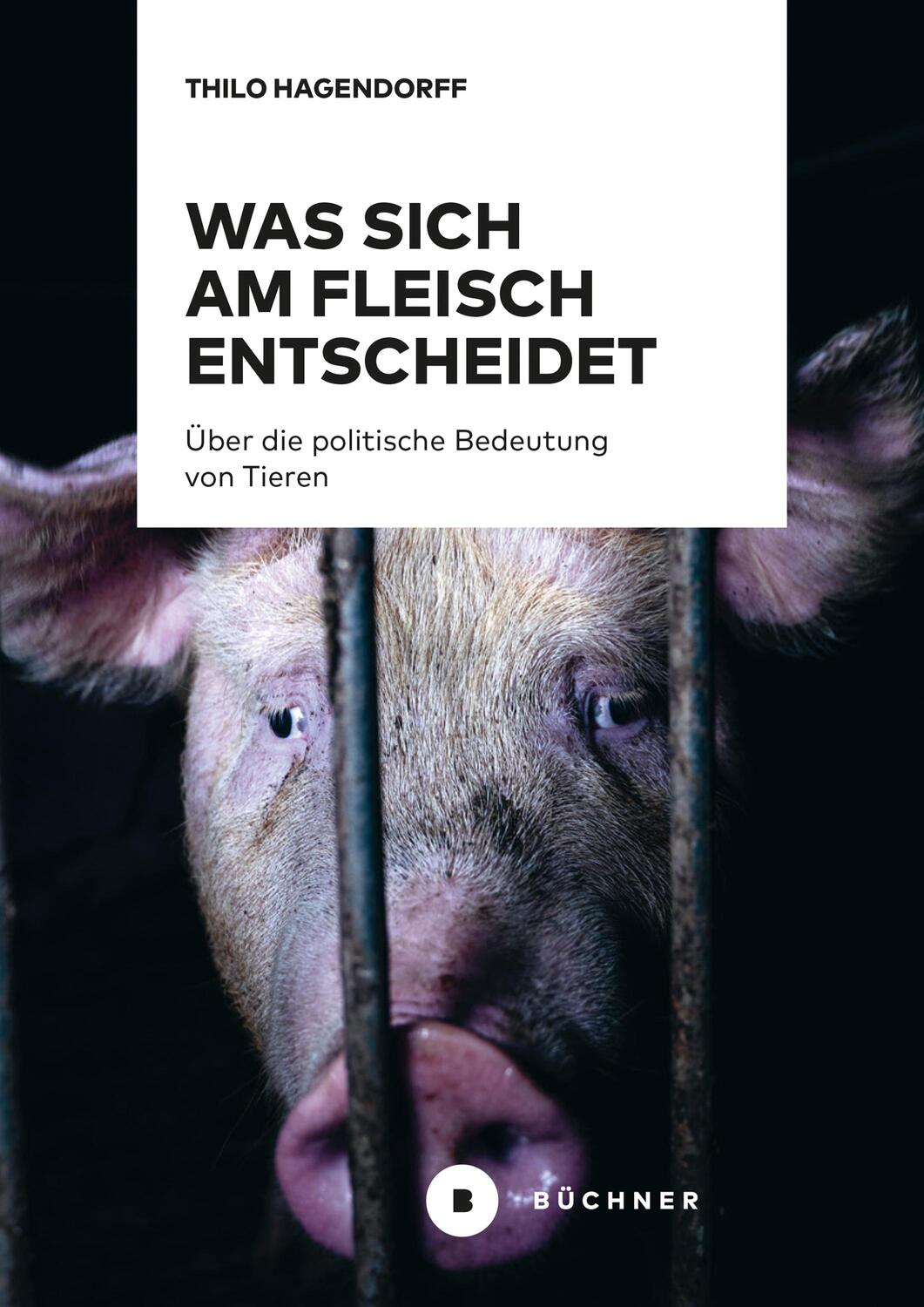 Cover: 9783963172373 | Was sich am Fleisch entscheidet | Thilo Hagendorff | Taschenbuch
