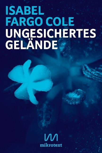 Cover: 9783944543659 | Ungesichertes Gelände | Liebesnovelle in Briefen | Isabel Fargo Cole