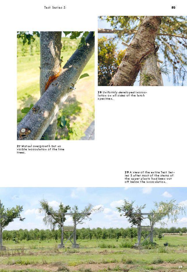 Bild: 9783035603323 | Growing Architecture | How to Design and Build with Trees | Buch