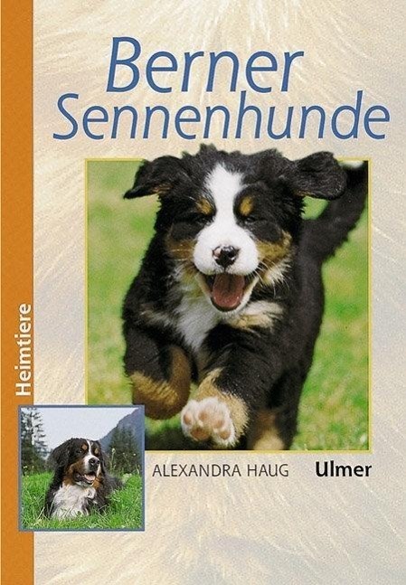 Cover: 9783800173990 | Berner Sennenhunde | Alexandra Haug | Buch | Heimtiere | Deutsch