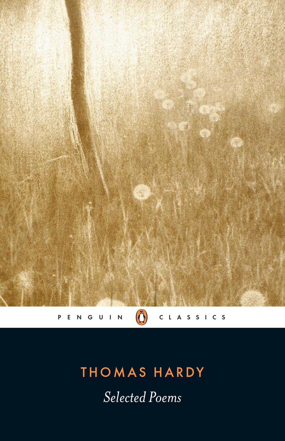 Cover: 9780140433418 | Selected Poems | Thomas Hardy | Taschenbuch | Englisch | 1993