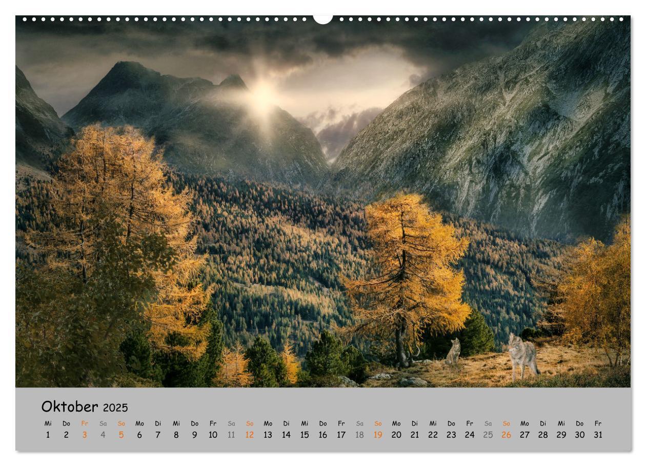 Bild: 9783435079544 | Der lange Weg der Wölfe (Wandkalender 2025 DIN A2 quer), CALVENDO...