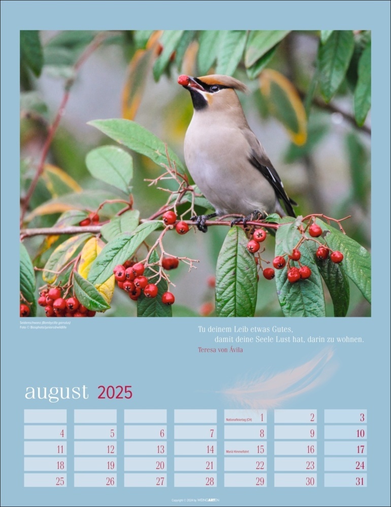 Bild: 9783839900710 | Heimische Vögel Kalender 2025 | Kalender | Spiralbindung | 14 S.