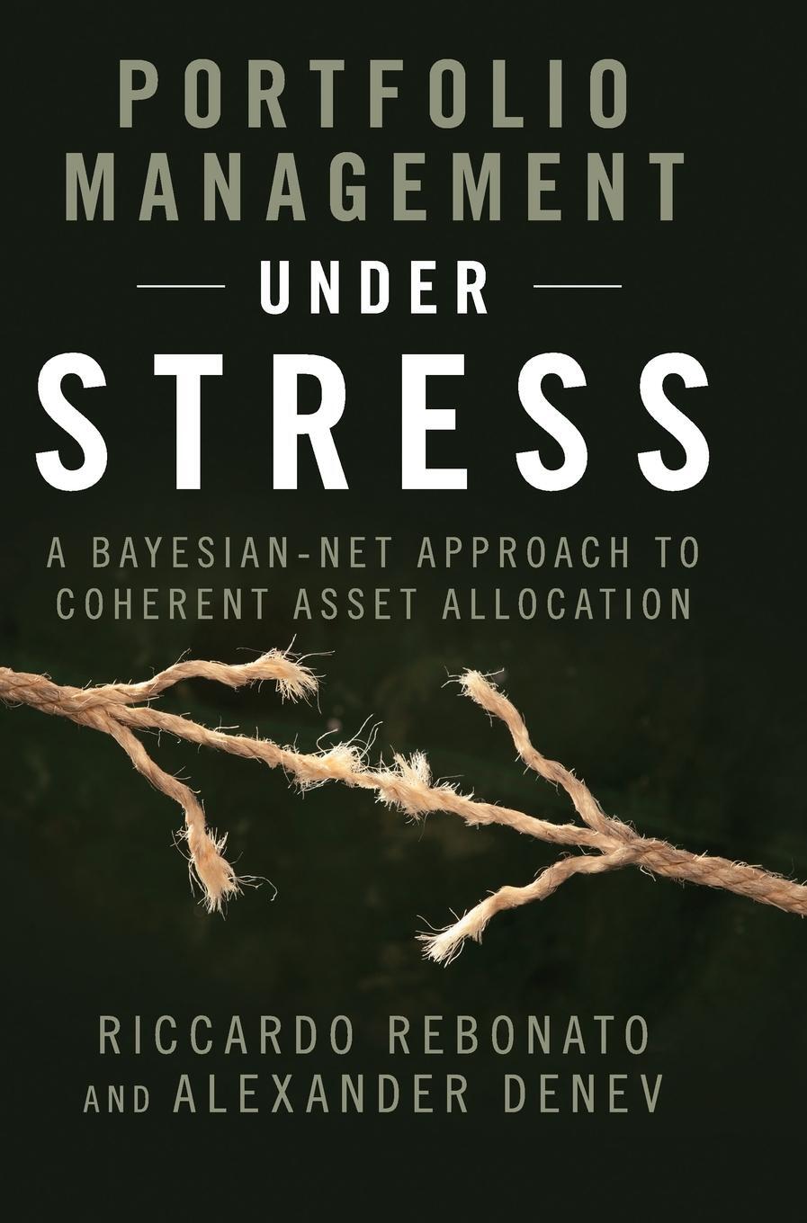 Cover: 9781107048119 | Portfolio Management under Stress | Riccardo Rebonato (u. a.) | Buch