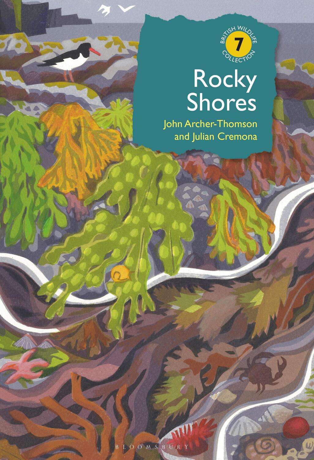 Cover: 9781472943132 | Rocky Shores | John Archer-Thomson (u. a.) | Buch | Gebunden | 2019