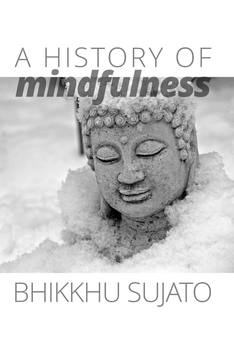 Cover: 9781921842092 | A History of Mindfulness | Bhikkhu Sujato | Taschenbuch | Paperback