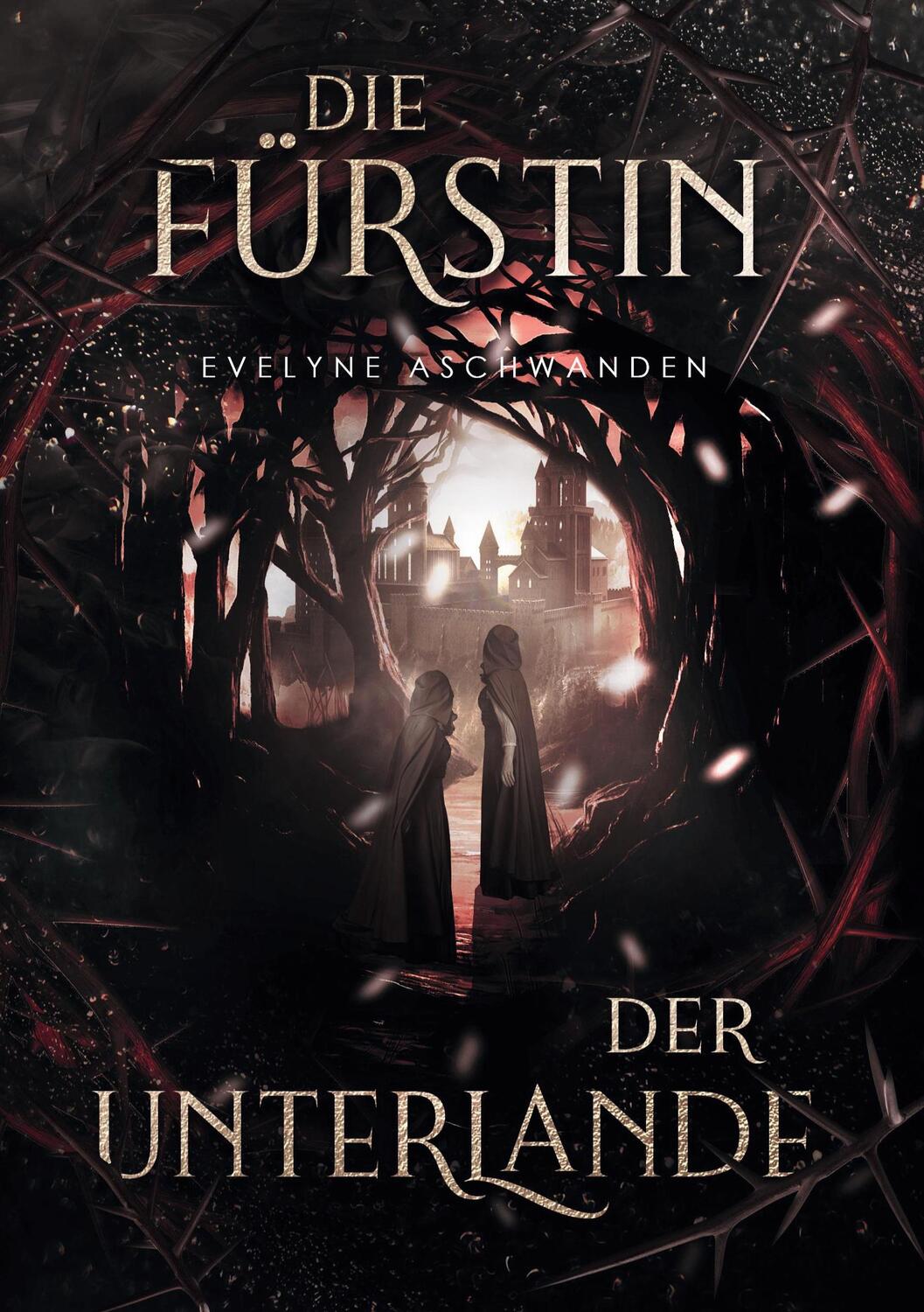 Cover: 9783754642504 | Die Fürstin der Unterlande | Evelyne Aschwanden | Taschenbuch | 2022