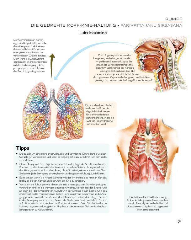 Bild: 9783966643849 | YOGA - Atlas der Anatomie | Svenja Tengs | Buch | 256 S. | Deutsch