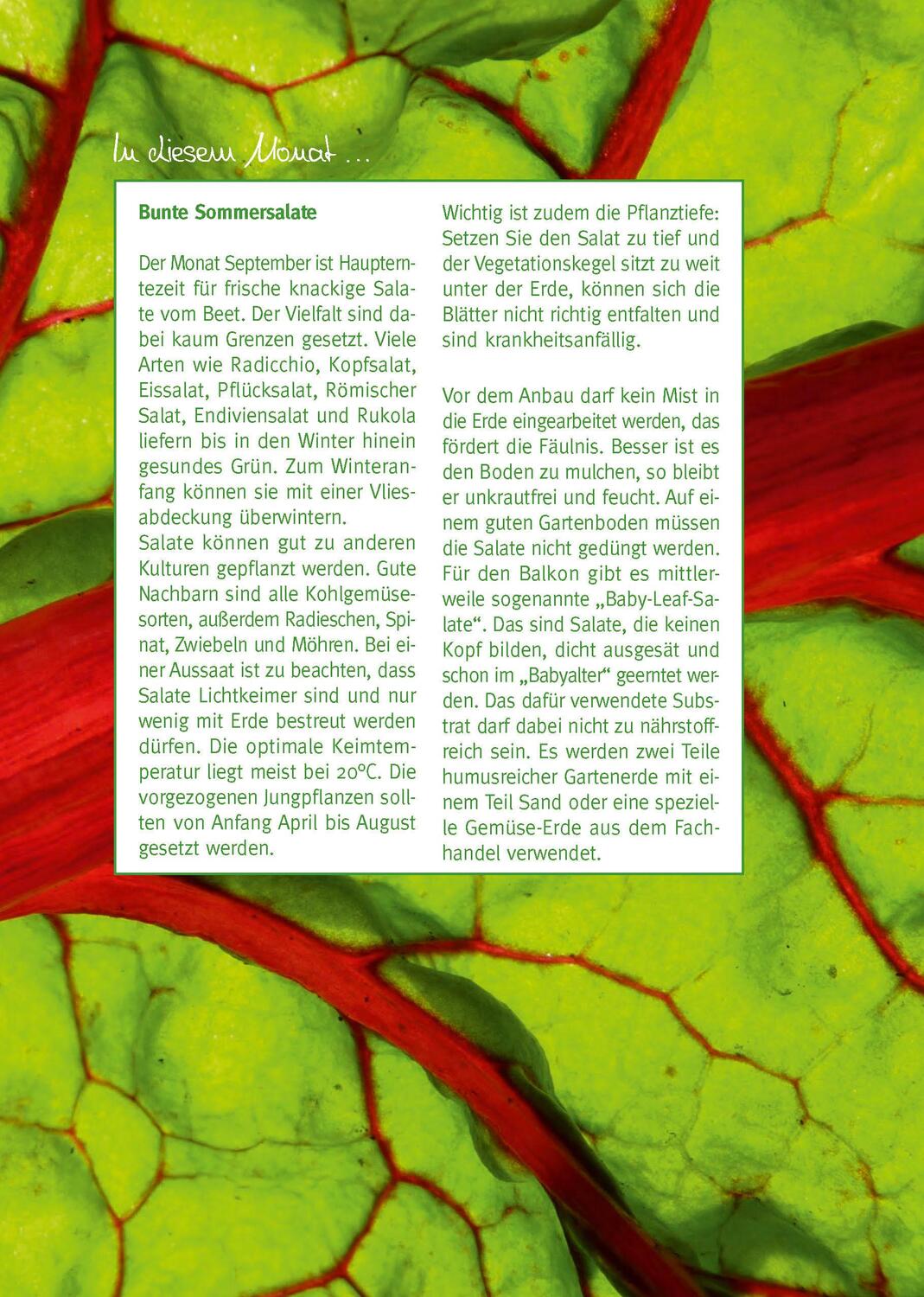 Bild: 9783961310647 | Mein Gartentagebuch für den Obst- und Gemüsegärtner | Taschenbuch