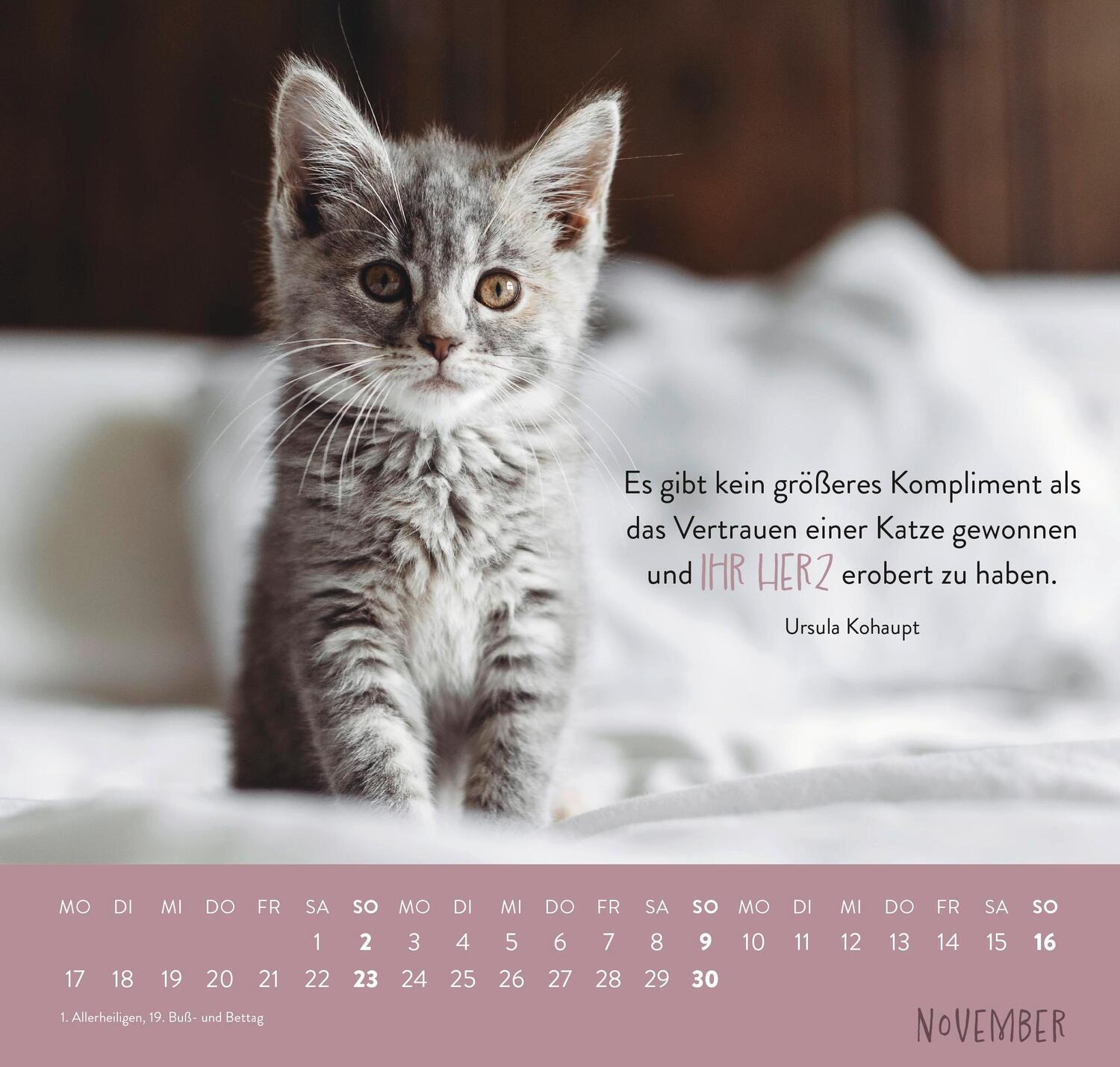 Bild: 4036442011881 | Wandkalender 2025: Für Katzenfreunde | Groh Verlag | Kalender | 12 S.