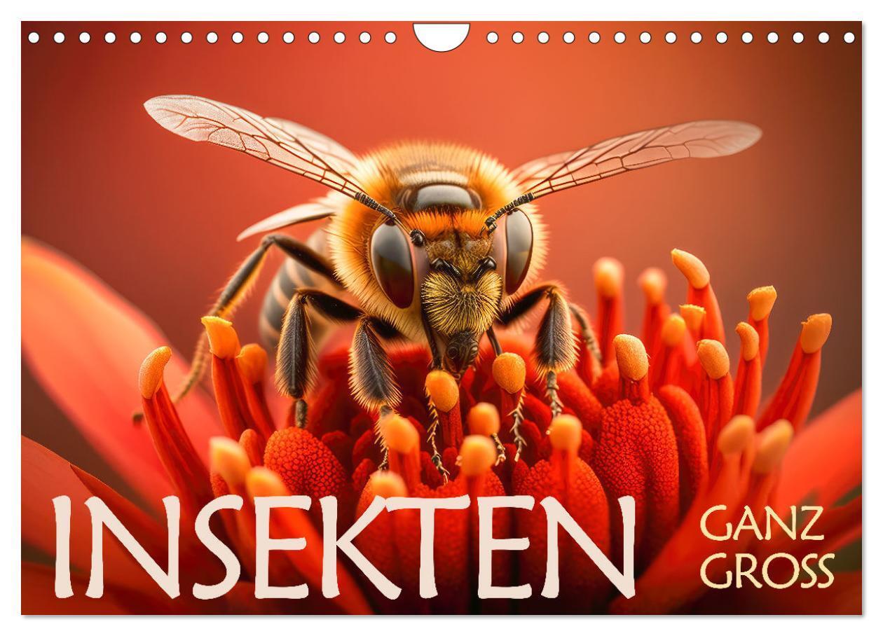 Cover: 9783675435018 | Insekten ganz gross (Wandkalender 2024 DIN A4 quer), CALVENDO...