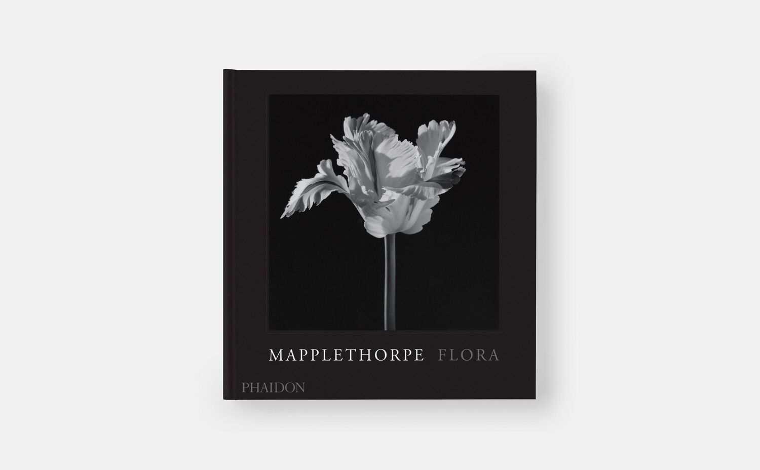 Bild: 9781838668211 | Mapplethorpe Flora | The Complete Flowers | Mapplethorpe (u. a.)