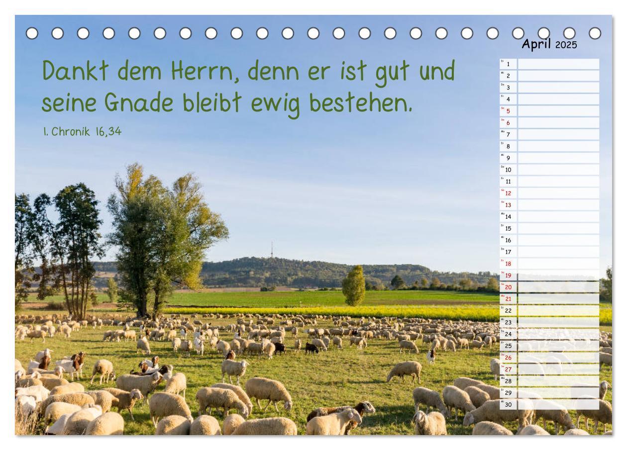 Bild: 9783435278251 | Heimat Hesselberg (Tischkalender 2025 DIN A5 quer), CALVENDO...