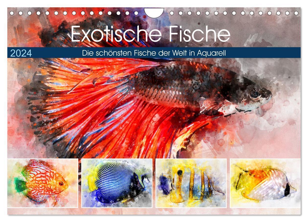 Cover: 9783675989610 | Exotische Fische - Die schönsten Fische der Welt in Aquarell...