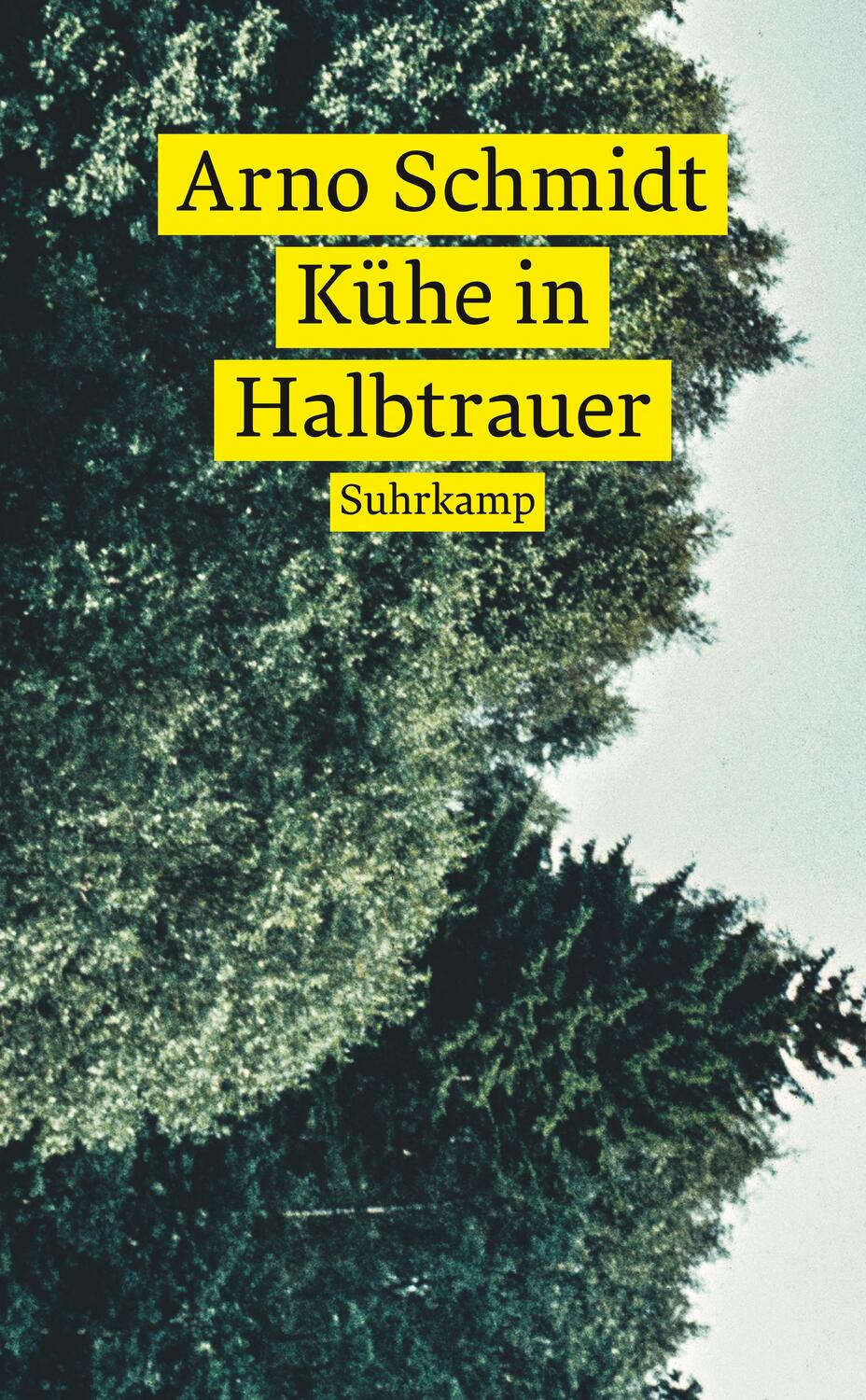 Cover: 9783518472729 | Kühe in Halbtrauer | Arno Schmidt | Taschenbuch | Deutsch | 2022