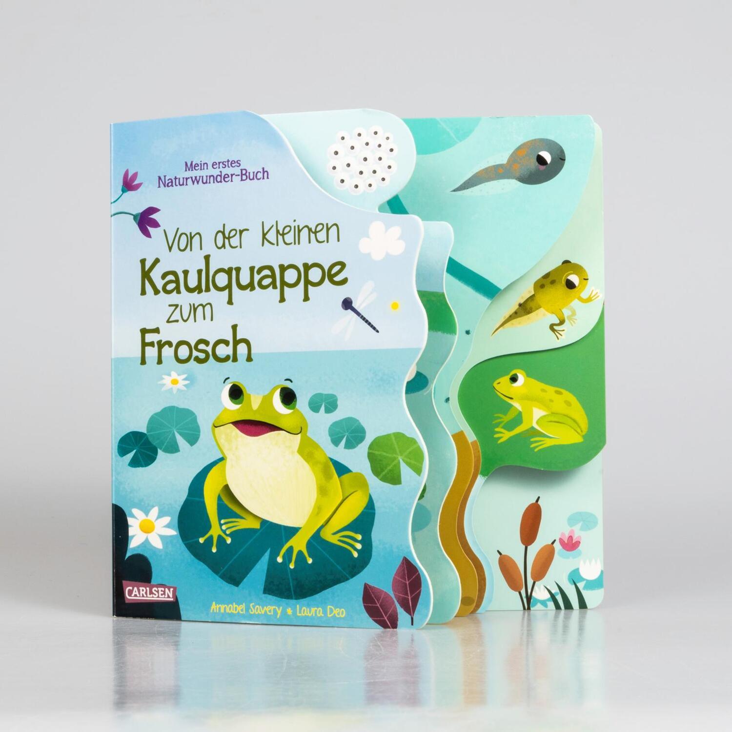 Bild: 9783551172198 | Von der kleinen Kaulquappe zum Frosch | Mein erstes Naturwunder-Buch