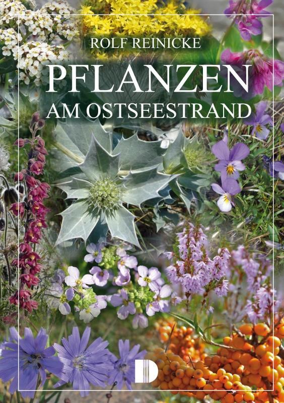 Cover: 9783944102139 | Pflanzen am Ostseestrand | Rolf Reinicke | Taschenbuch | Deutsch