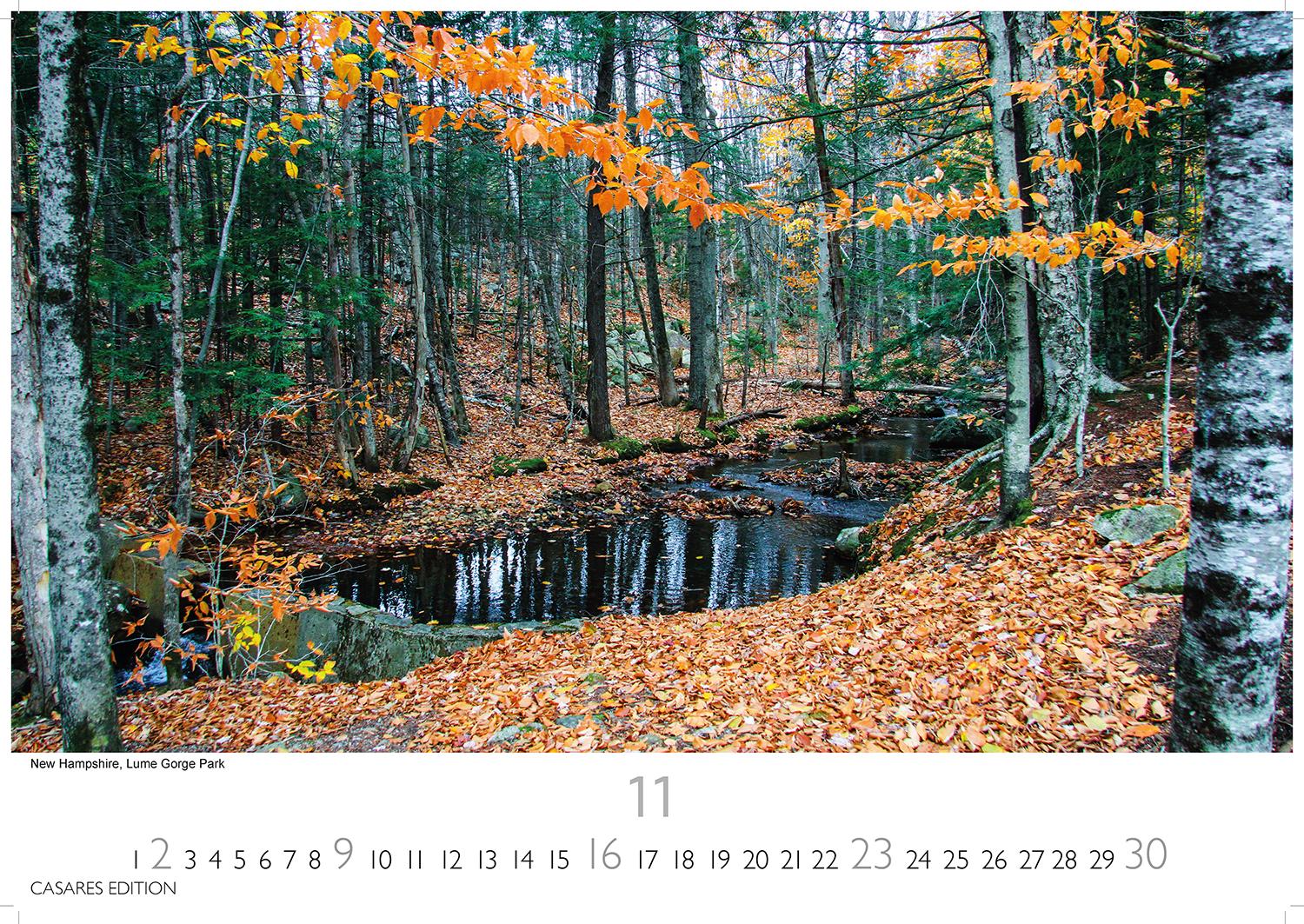 Bild: 9781835242827 | New England 2025 L 35x50cm | Kalender | 14 S. | Deutsch | 2025