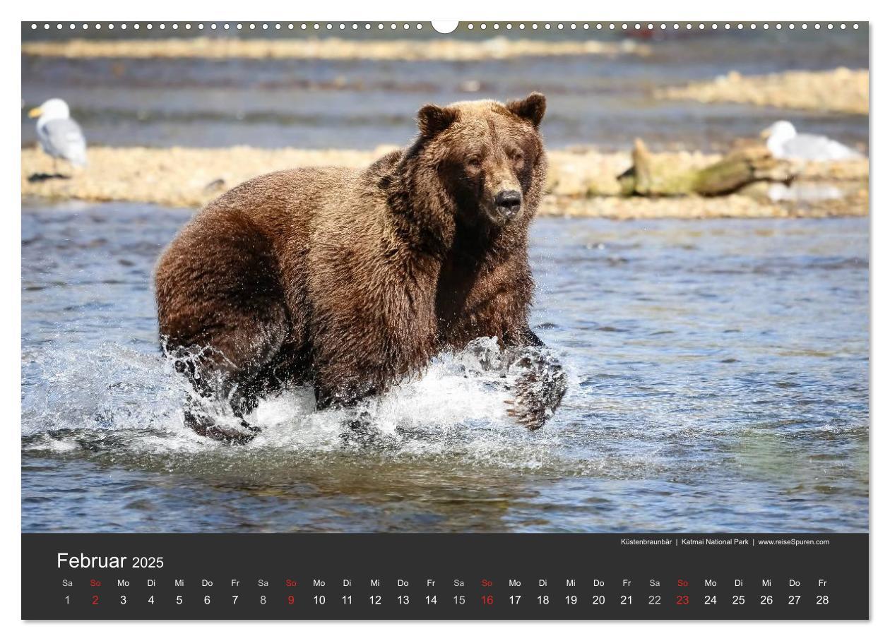 Bild: 9783435370771 | Alaska 2025 - faszinierend anders (Wandkalender 2025 DIN A2 quer),...