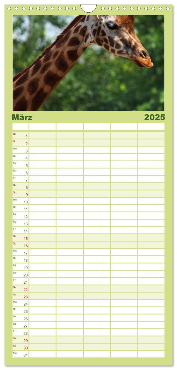 Bild: 9783457110126 | Familienplaner 2025 - Giraffen mit 5 Spalten (Wandkalender, 21 x 45...