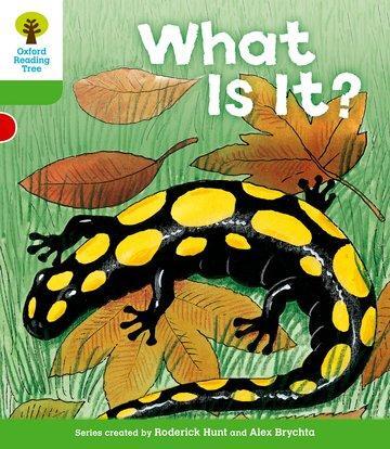 Cover: 9780198481621 | Oxford Reading Tree: Level 2: More Patterned Stories A: What Is It?