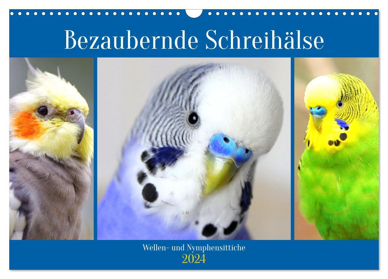 Cover: 9783675501188 | Bezaubernde Schreihälse. Wellen- und Nymphensittiche (Wandkalender...