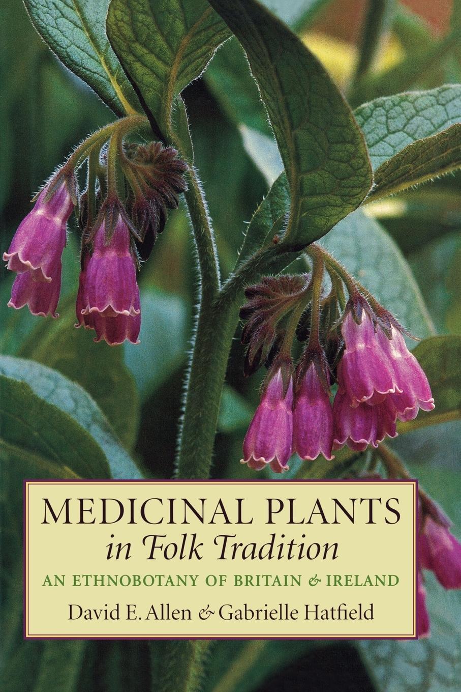 Cover: 9781604694291 | Medicinal Plants in Folk Tradition | David E. Allen (u. a.) | Buch