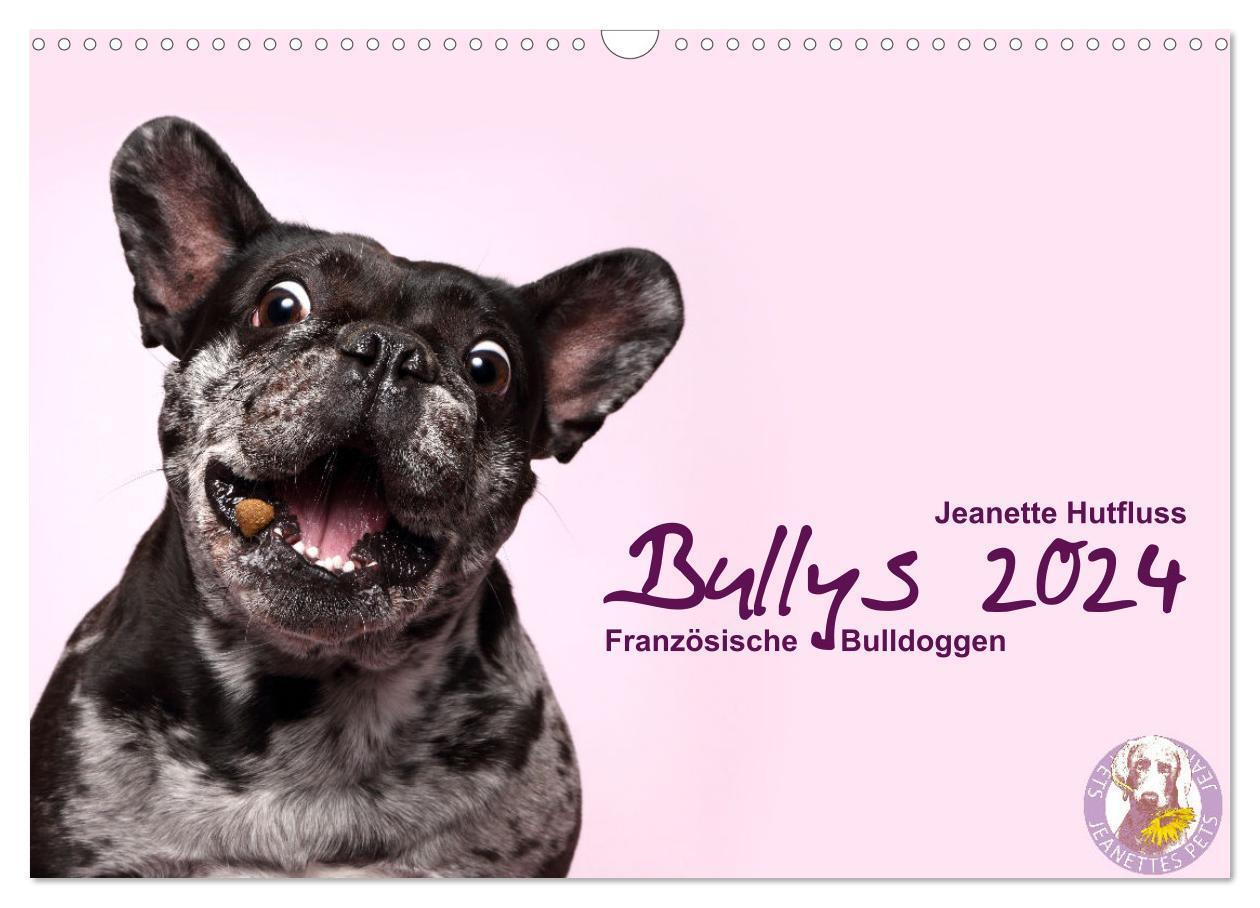 Cover: 9783675446694 | Bullys - Französische Bulldoggen 2024 (Wandkalender 2024 DIN A3...