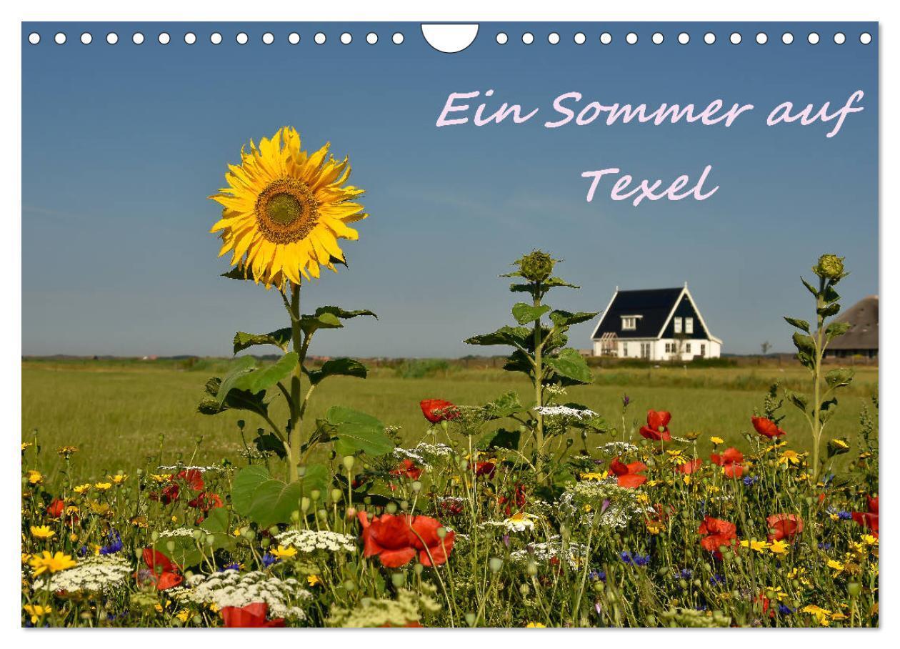 Cover: 9783435359097 | Ein Sommer auf Texel (Wandkalender 2025 DIN A4 quer), CALVENDO...