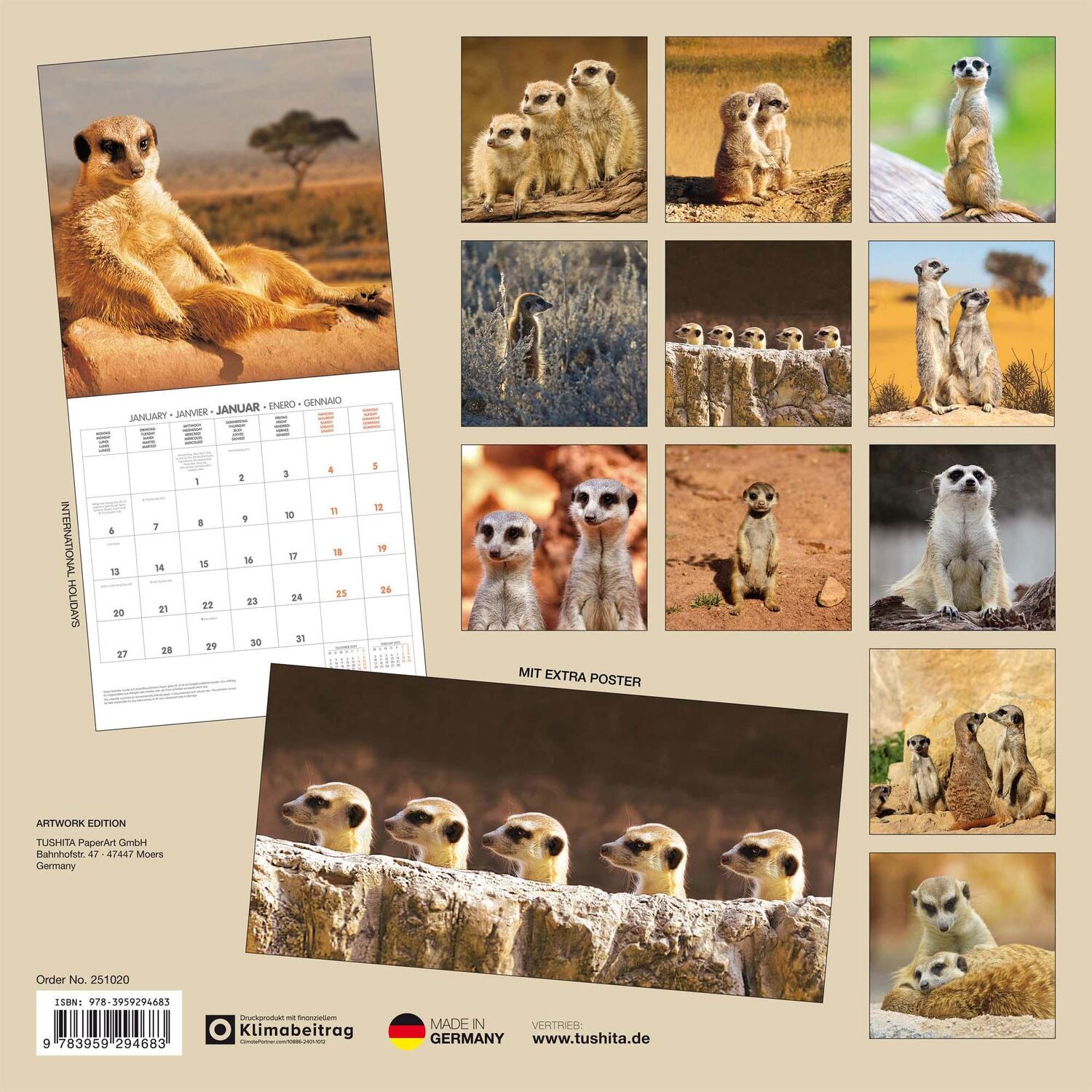 Rückseite: 9783959294683 | Meerkats/Erdmännchen 2025 | Kalender 2025 | Kalender | Artwork Edition