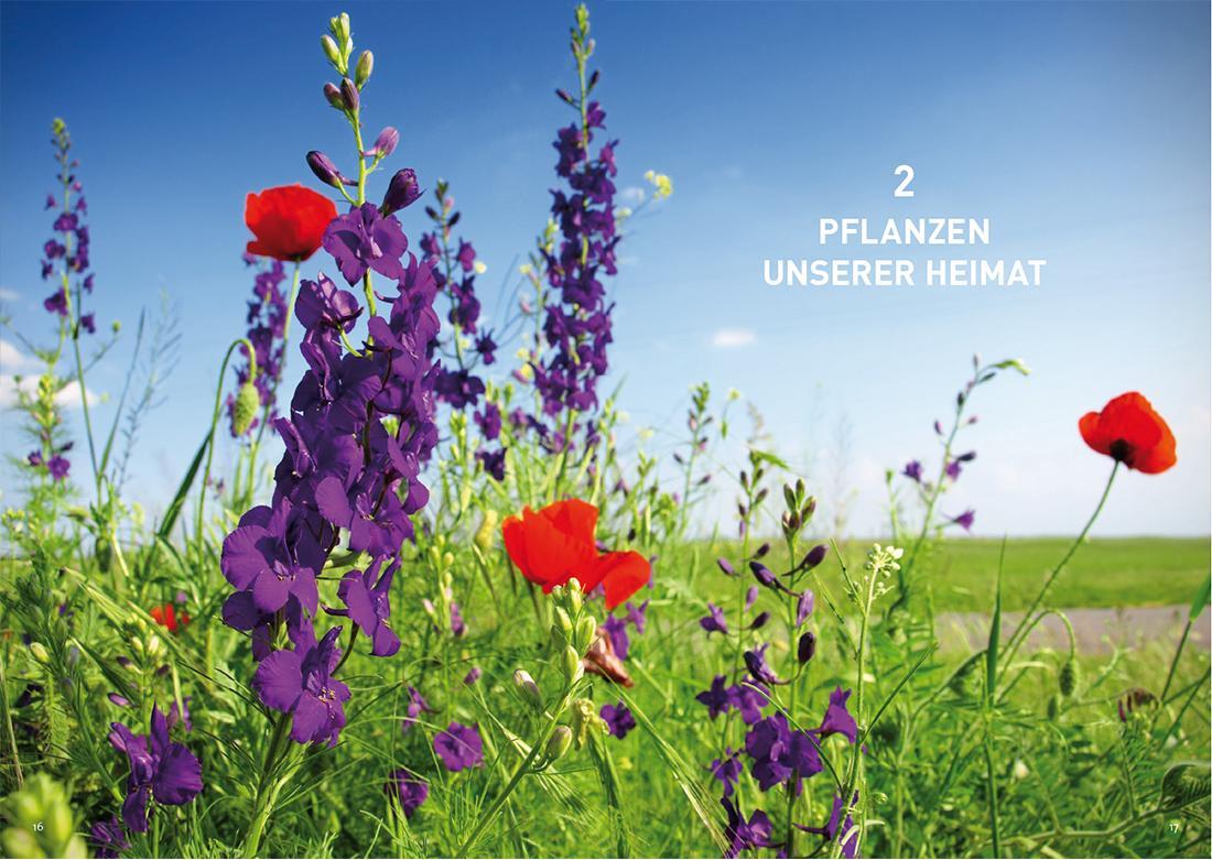 Bild: 9783735917126 | Pflanzen unserer Heimat | Buch | 176 S. | Deutsch | 2018
