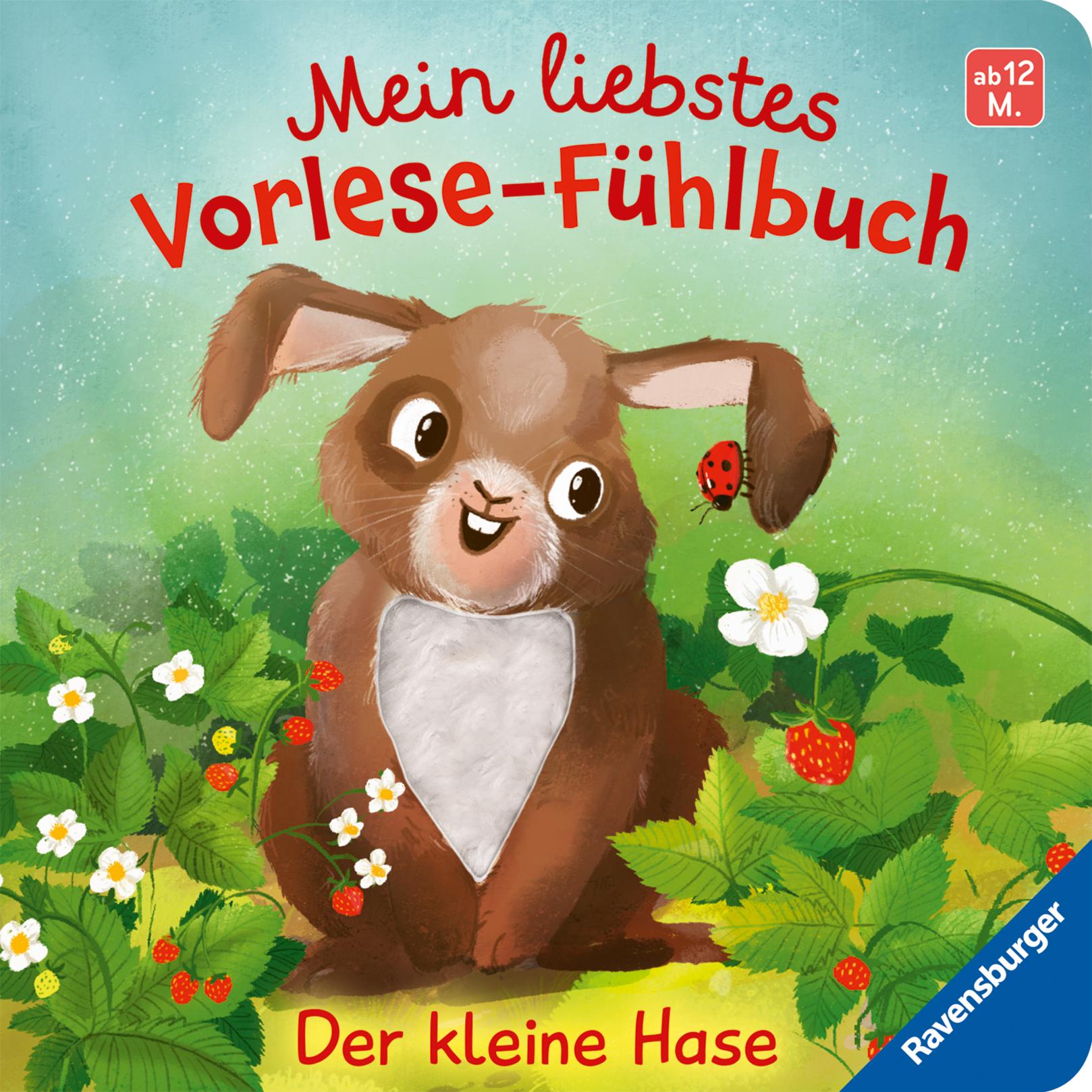 Cover: 9783473420698 | Mein liebstes Vorlese-Fühlbuch: Der kleine Hase. Ein erstes Buch...