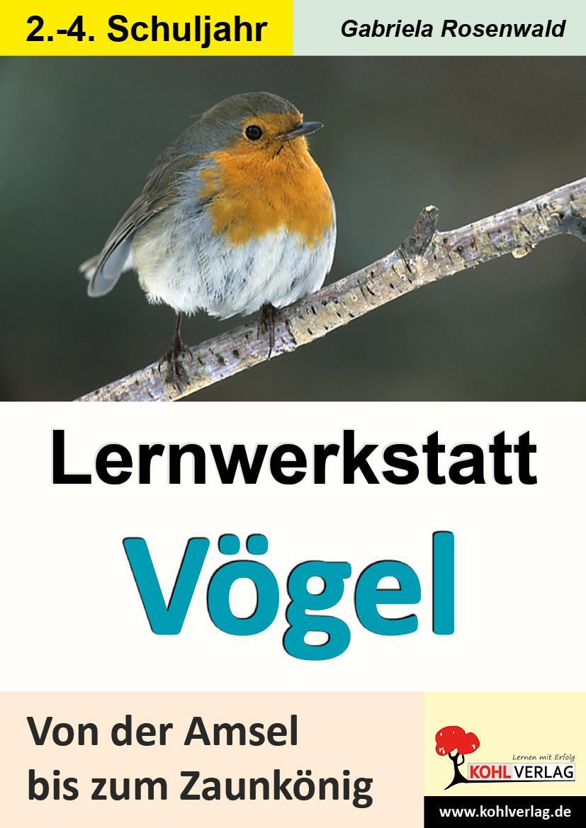 Cover: 9783866323353 | Lernwerkstatt Vögel Von der Amsel bis zum Zaunkönig | Rosenwald | Buch