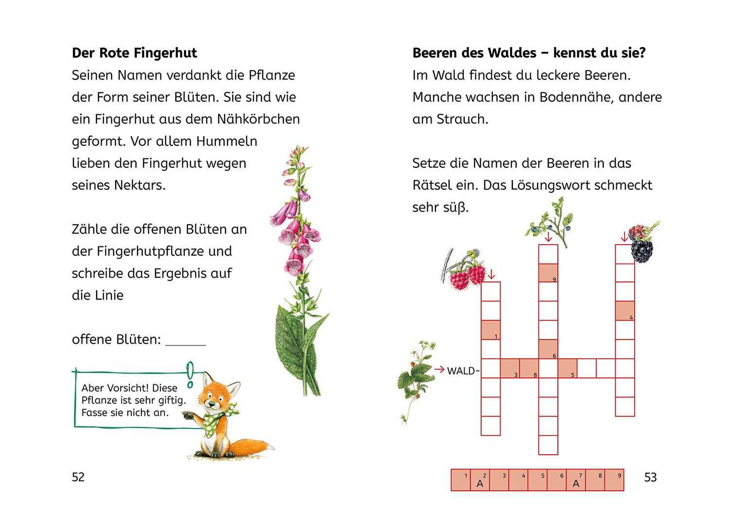 Bild: 9783440181690 | Lesen lernen mit Naturrätseln, Bücherhelden 2. Klasse, Tiere und...