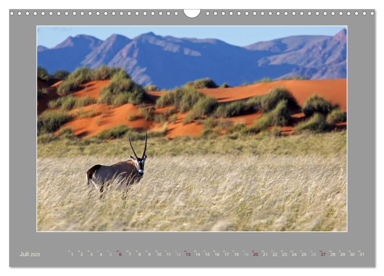 Bild: 9783435730421 | Namibia - Die Farben der Namib (Wandkalender 2025 DIN A3 quer),...