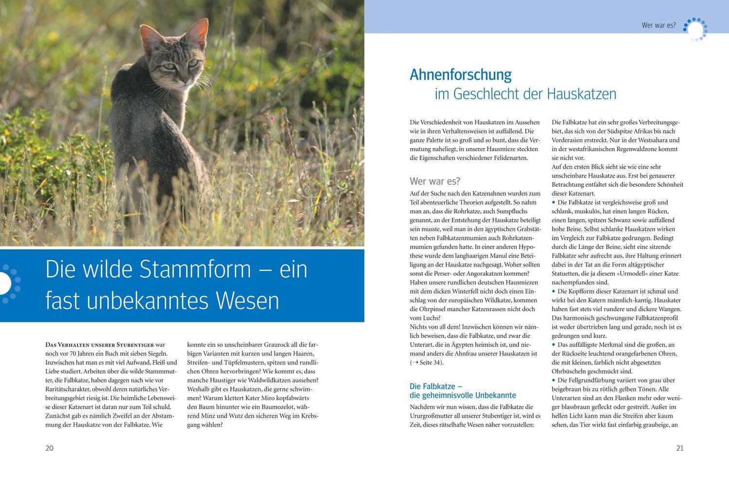 Bild: 9783833839450 | Was Katzen wirklich wollen | Mircea Pfleiderer (u. a.) | Buch | 208 S.