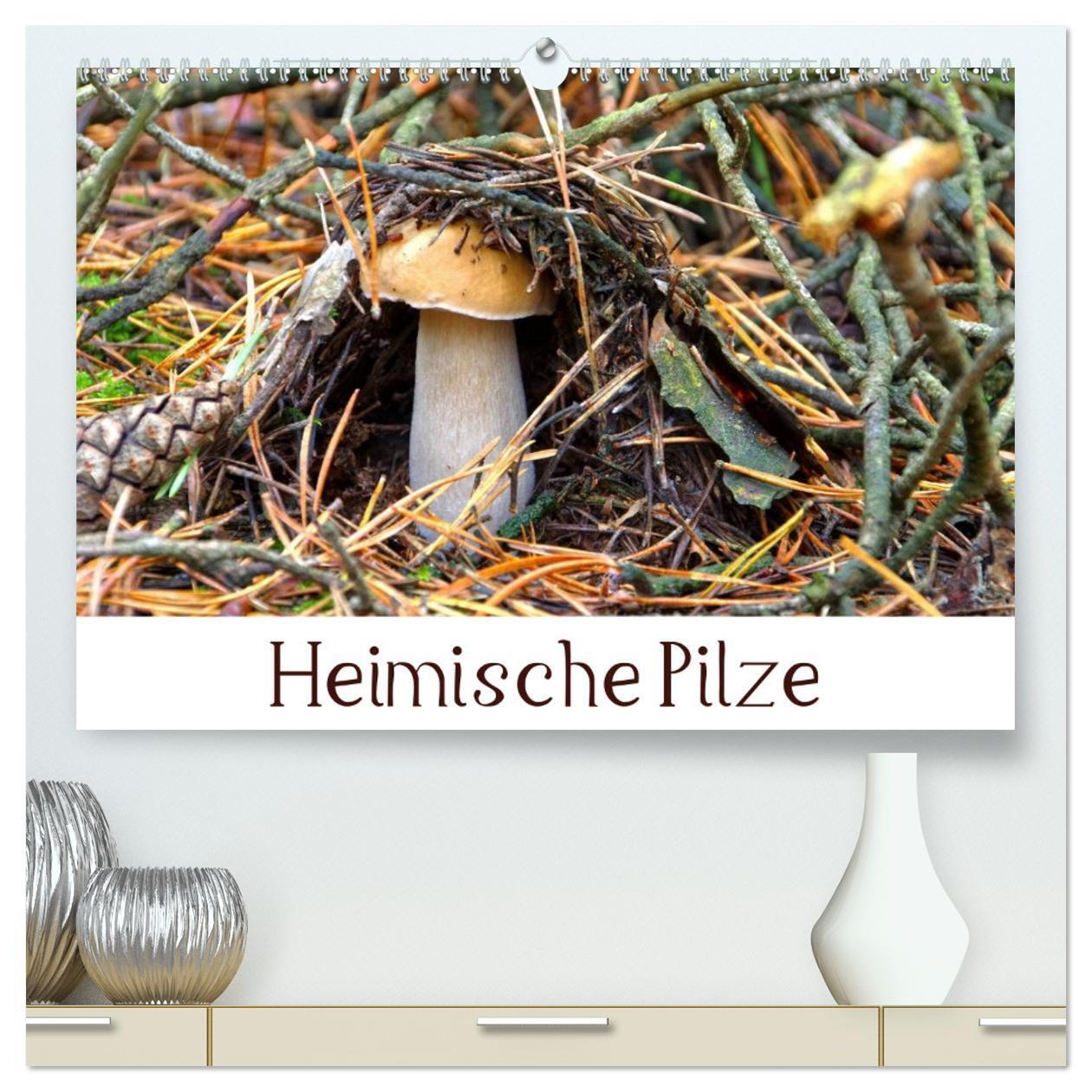 Cover: 9783383417887 | Heimische Pilze (hochwertiger Premium Wandkalender 2024 DIN A2...