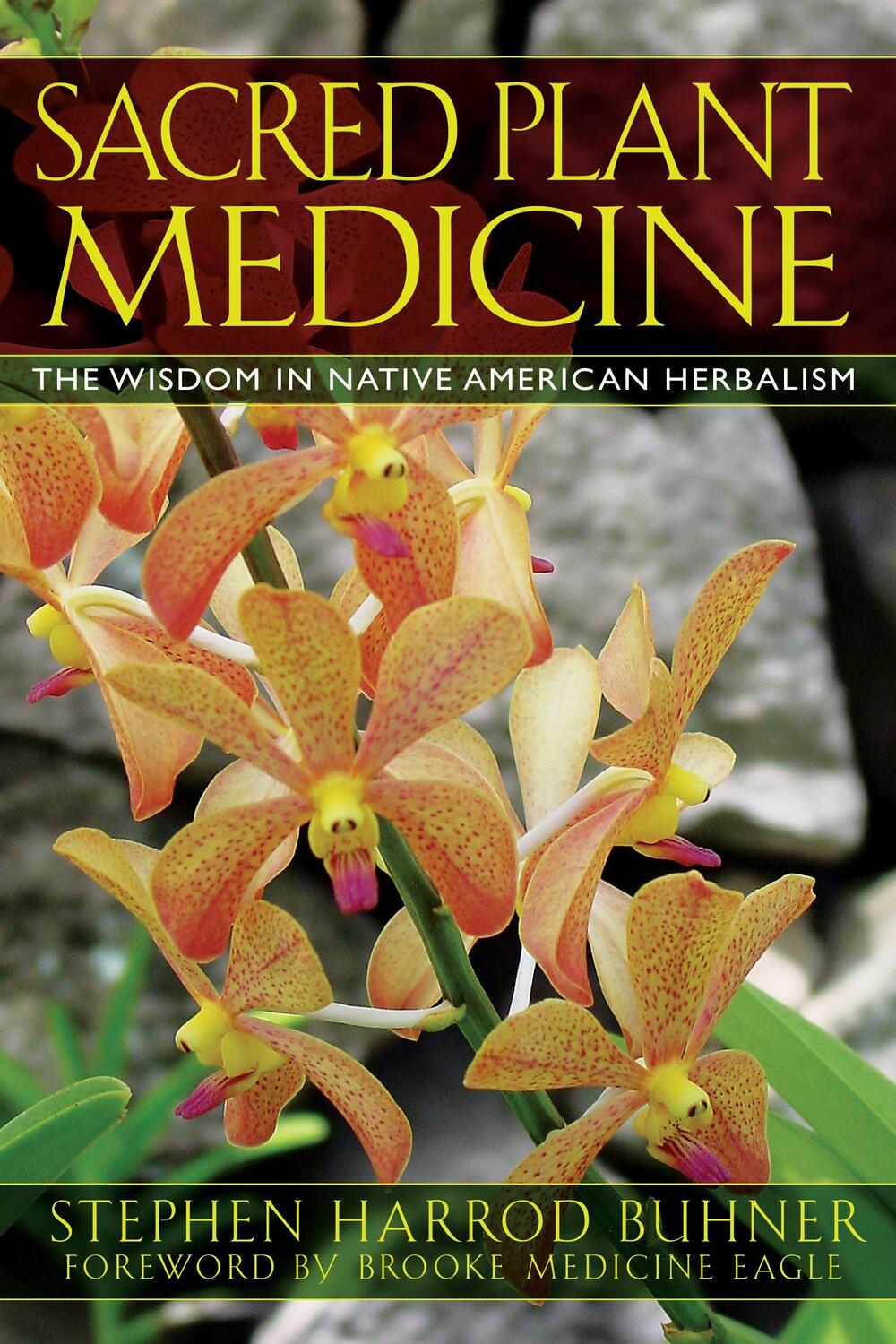 Cover: 9781591430582 | Sacred Plant Medicine | The Wisdom in Native American Herbalism | Buch