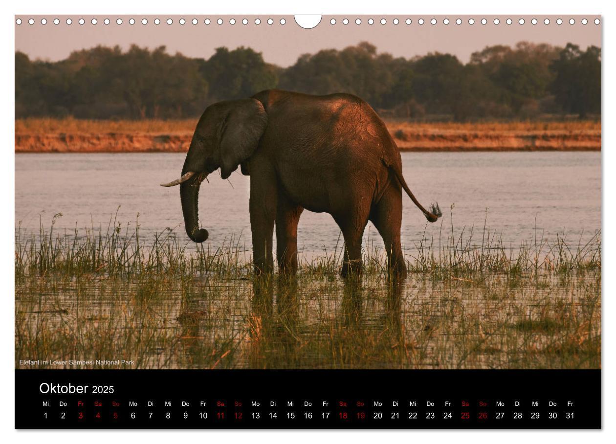 Bild: 9783435381982 | SAMBIA IM HERZEN AFRIKAS (Wandkalender 2025 DIN A3 quer), CALVENDO...