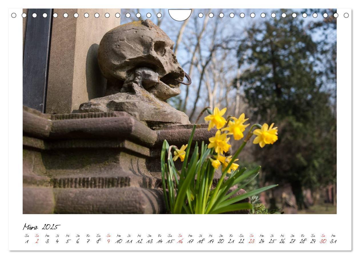 Bild: 9783435712892 | Alter Friedhof Freiburg (Wandkalender 2025 DIN A4 quer), CALVENDO...