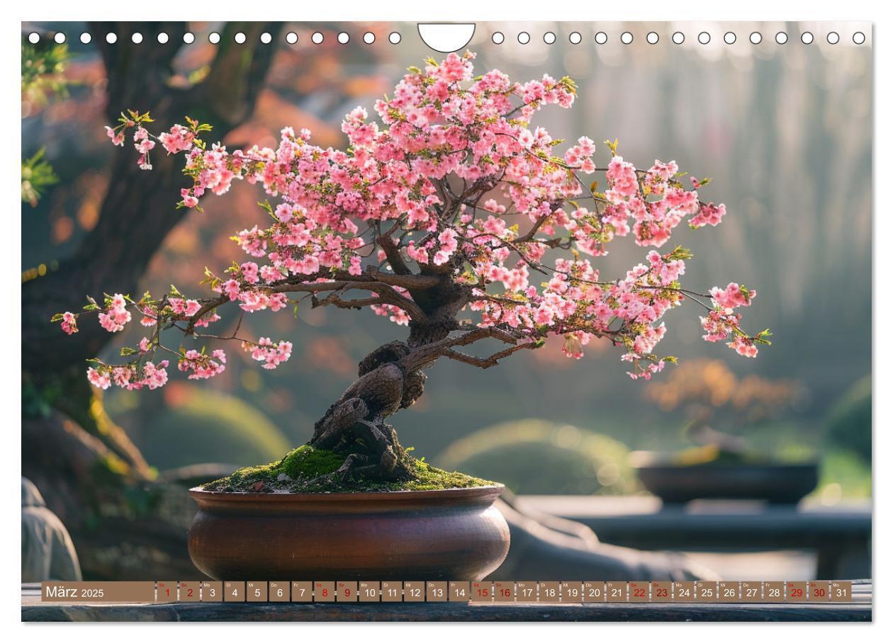 Bild: 9783383822230 | Bonsai meditativ (Wandkalender 2025 DIN A4 quer), CALVENDO...