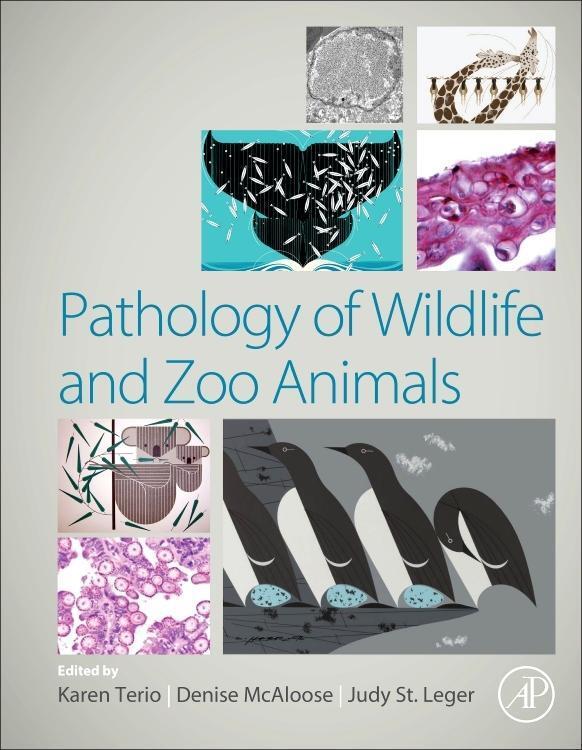 Cover: 9780128053065 | Pathology of Wildlife and Zoo Animals | Karen A Terio (u. a.) | Buch